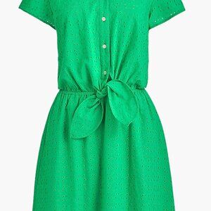 J. Crew Factory L Green Eyelet collared tie-front dress